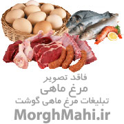 پخش مرغ و قطعه بندی تازه و منجمد 
