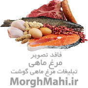 ران و سینه بال کتف مرغ و بوقلمون