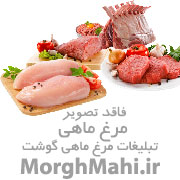 گوشت گوسفندی و ماهی و مرغ و گوساله و بوقلمون