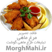 پخش تخم مرغ