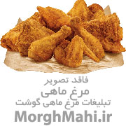 فروش گوشت گوسفندی و گوساله 