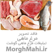 گوشت مرغ ماهی میگو
